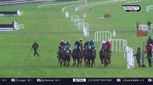 Video preview image for Leopardstown 15:30 - Paddy Power Games 'One For The Road' I.N.H. Flat