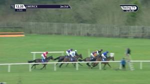 Video preview image for Limerick 12:35 - Limerick Racecourse Vets Mares Beginners Chase 