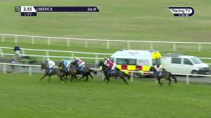 Video preview image for Limerick 14:55 - Racing Post Handicap Hurdle