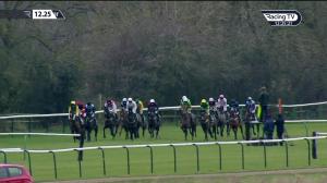 Video preview image for Warwick 12:25 - Local Parking Security Novices' Handicap Hurdle (5)