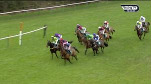 Video preview image for Warwick 12:55 - Lps British Stallion Studs EBF Mares' 'National Hunt' Novices' Hurdle (Qualifier) (4)