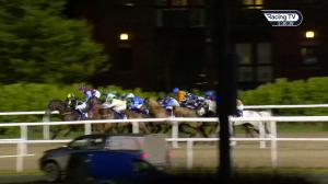 Video preview image for Dundalk 17:30 - View Restaurant January Special Claiming