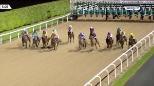 Video preview image for Dundalk 17:00 - Happy New Year From Dundalk Stadium Handicap
