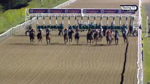 Video preview image for Dundalk 19:30 - Floodlit Friday Nights At Dundalk Stadium Maiden