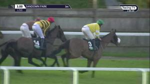 Video preview image for Sandown Park 15:00 - Unibet Veterans' Handicap Chase (Series Final) (2)