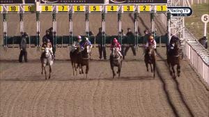 Video preview image for Chelmsford City 17:30 - Irish Lotto At totesport.com Handicap (5)