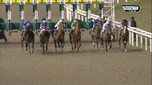 Video preview image for Chelmsford City 19:00 - Celebrate Birthdays and Anniversaries At CCR Novice Stakes (5)