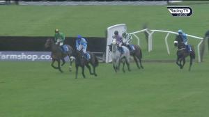 Video preview image for Ludlow 15:30 - Highflyer Bloodstock Open Hunters' Chase (5)