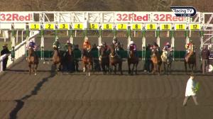 Video preview image for Kempton Park 13:20 - Wise Betting At racingtv.com Handicap (6)