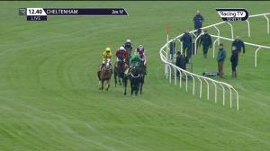Video preview image for Cheltenham 12:40 - JCB Triumph Trial Juvenile Hurdle (Finesse) (Grade 2) (1)