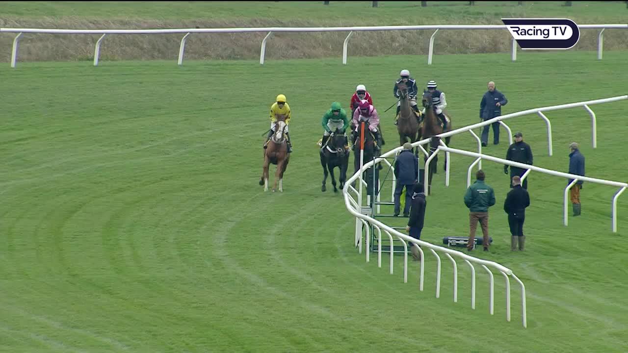 Nick Williams says Galahad Quest has "exciting" future after Triumph