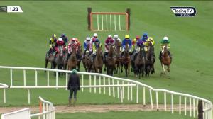 Video preview image for Down Royal 13:20 - Molson Coors Maiden Hurdle