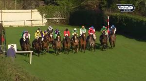Video preview image for Down Royal 15:20 - Molson Coors Handicap Chase 