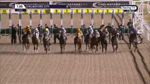 Video preview image for Chelmsford City 19:00 - Tote Is Back Handicap (6)