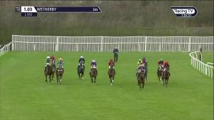 Video preview image for Wetherby 13:03 - Wilmot-Smith Memorial Mares' Novices' Hurdle (Qualifier) (4)