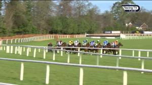 Video preview image for Leopardstown 13:25 - Tattersalls Ireland Spring Juvenile Hurdle (Grade 1)