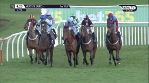 Video preview image for Musselburgh 16:20 - Bet365 Standard Open National Hunt Flat (4)