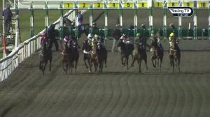 Video preview image for Kempton Park 17:25 - Wise Betting At racingtv.com Handicap (6) (Div 2)