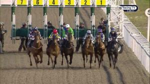 Video preview image for Chelmsford City 17:30 - H&C Bars Apprentice Handicap (6)