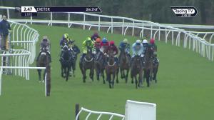 Video preview image for Exeter 14:47 - Be Wiser Insurance Novices' Hurdle (4)