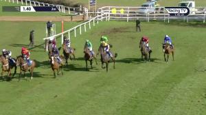 Video preview image for Ludlow 13:40 - Perrott Properties Novices' Hurdle (4)