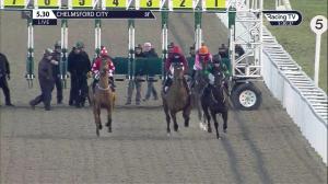 Video preview image for Chelmsford City 17:30 - New Tote Novice Stakes (5)