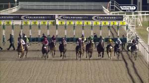 Video preview image for Chelmsford City 18:00 - Good Friday Spring Country Fair Classified Stakes (6)