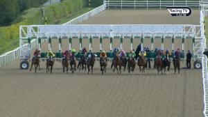 Video preview image for Dundalk 17:30 - European Road To The Kentucky Derby Race Night Claiming 