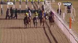 Video preview image for Chelmsford City 19:30 - Tote Guarantee At tote.co.uk All UK Races Handicap (3)