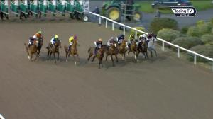 Video preview image for Dundalk 18:15 - irishinjuredjockeys.com Handicap