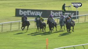 Video preview image for Newmarket 18:30 - Read Andrew Balding On Betway Insider Handicap (3) (Div 2)