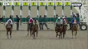 Video preview image for Chelmsford City 16:40 - Gubbion's Green Maiden Auction Fillies' Stakes (5)