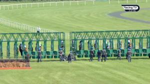 Video preview image for Fairyhouse 15:35 - Ratoath Handicap 