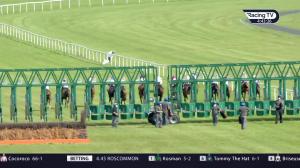 Video preview image for Fairyhouse 16:35 - Meath Handicap (Div 2)