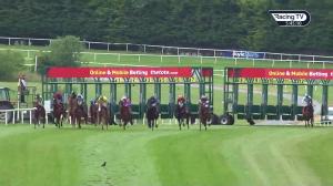 Video preview image for Gowran Park 17:45 - It's Not Rocket Science With Mansionbet Handicap 