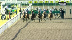 Video preview image for Kempton Park 18:25 - British Stallion Studs EBF Maiden Stakes (5)