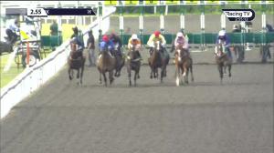 Video preview image for Kempton Park 14:55 - Try Our New Runner Boost At Unibet Handicap (6)