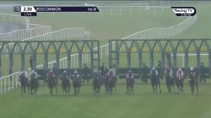 Video preview image for Roscommon 14:30 - www.roscommonracecourse.ie Handicap (Div 1)