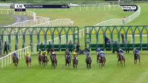 Video preview image for Roscommon 15:30 - Tulsk Handicap 