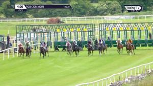 Video preview image for Roscommon 16:00 - Athleague Maiden 