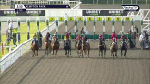 Video preview image for Kempton Park 17:55 - Unibet Thanks The Frontline Workers Handicap (5)