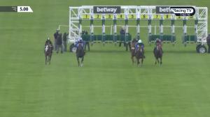 Video preview image for Newmarket 17:00 - Betway Novice Stakes (5)