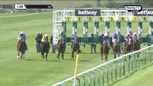 Video preview image for Newmarket 13:00 - Betway Maiden Stakes (5)