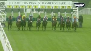 Video preview image for Hamilton Park 16:05 - Watch Racing Replays On racingtv.com Handicap (6)