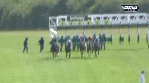 Video preview image for Newmarket 17:00 - Read Andrew Balding On Betway Insider Handicap (3)