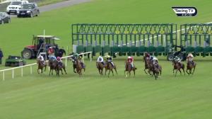 Video preview image for Limerick 16:45 - Fedamore Handicap