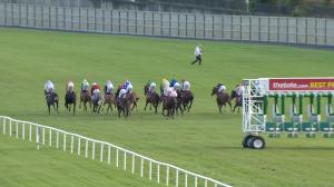 Video preview image for Leopardstown 16:50 - Tote October (Premier Handicap)