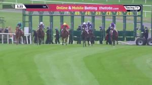 Video preview image for Gowran Park 17:55 - Irish Stallion Farms European Breeders Fund Fillies Maiden