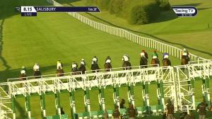 Video preview image for Salisbury 20:15 - Watch Race Replays At racingtv.com Handicap (6)