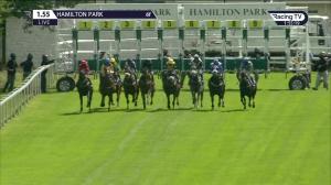 Video preview image for Hamilton Park 13:55 - Every Race Live On Racing TV Handicap (5)